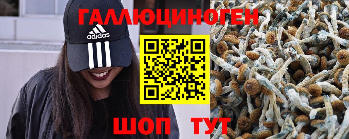 Галлюциногенные грибы мицелий  Вход с VPN  Искитим 