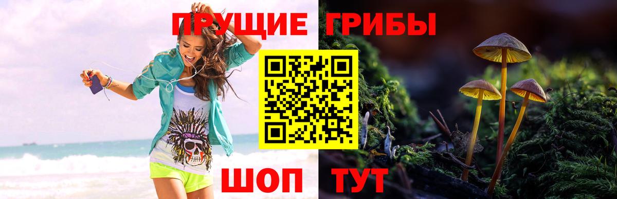 Мефедрон кристаллы  Меф  Где купить  A PVP СОЛЬ   МАРИХУАНА  Искитим  Гашиш  Вход с VPN 